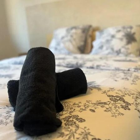 Cosy Rent Strasbourg Appartement Wifi Terrasse Eksteriør billede