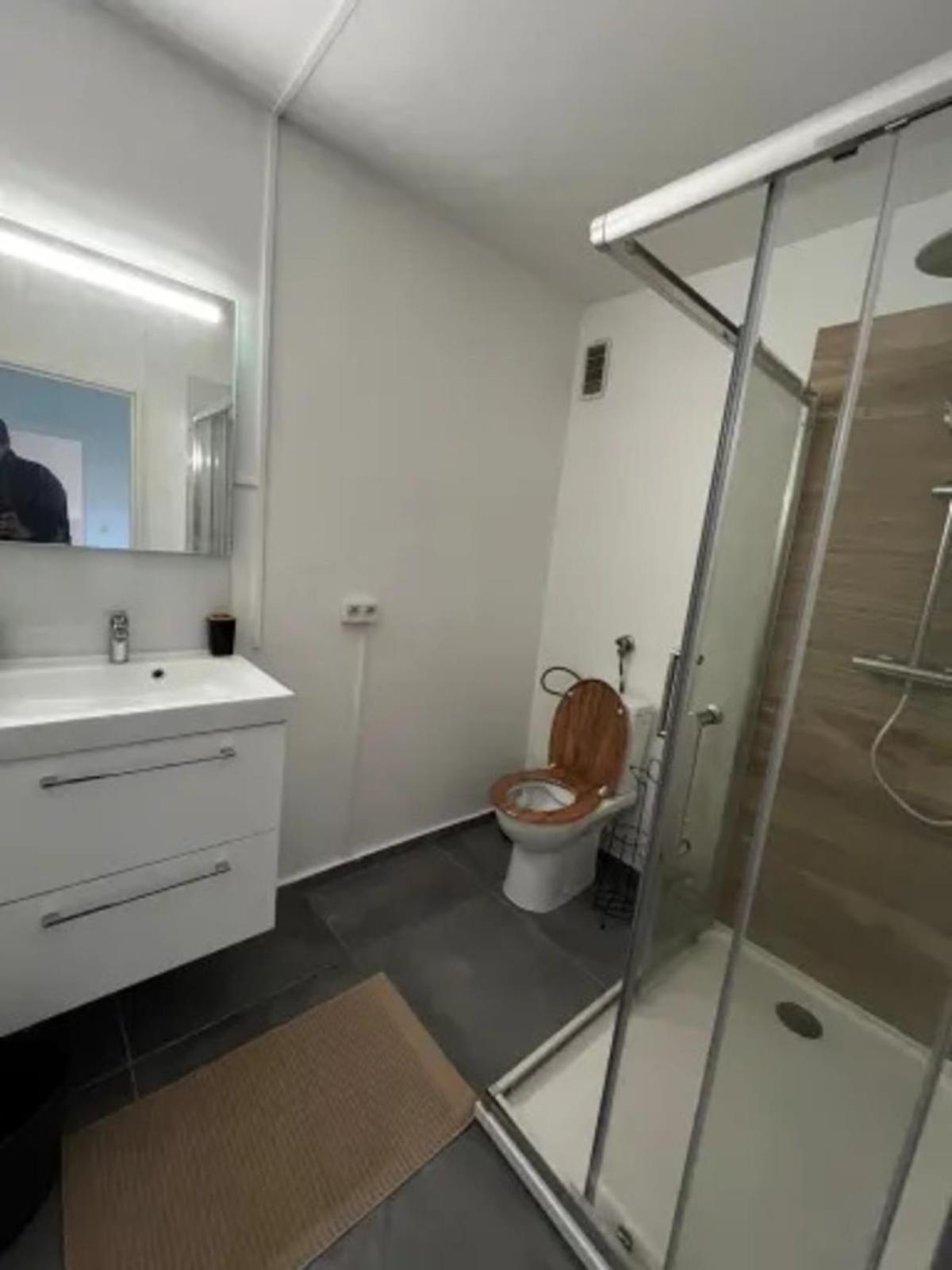 Cosy Rent Strasbourg Appartement Wifi Terrasse Eksteriør billede
