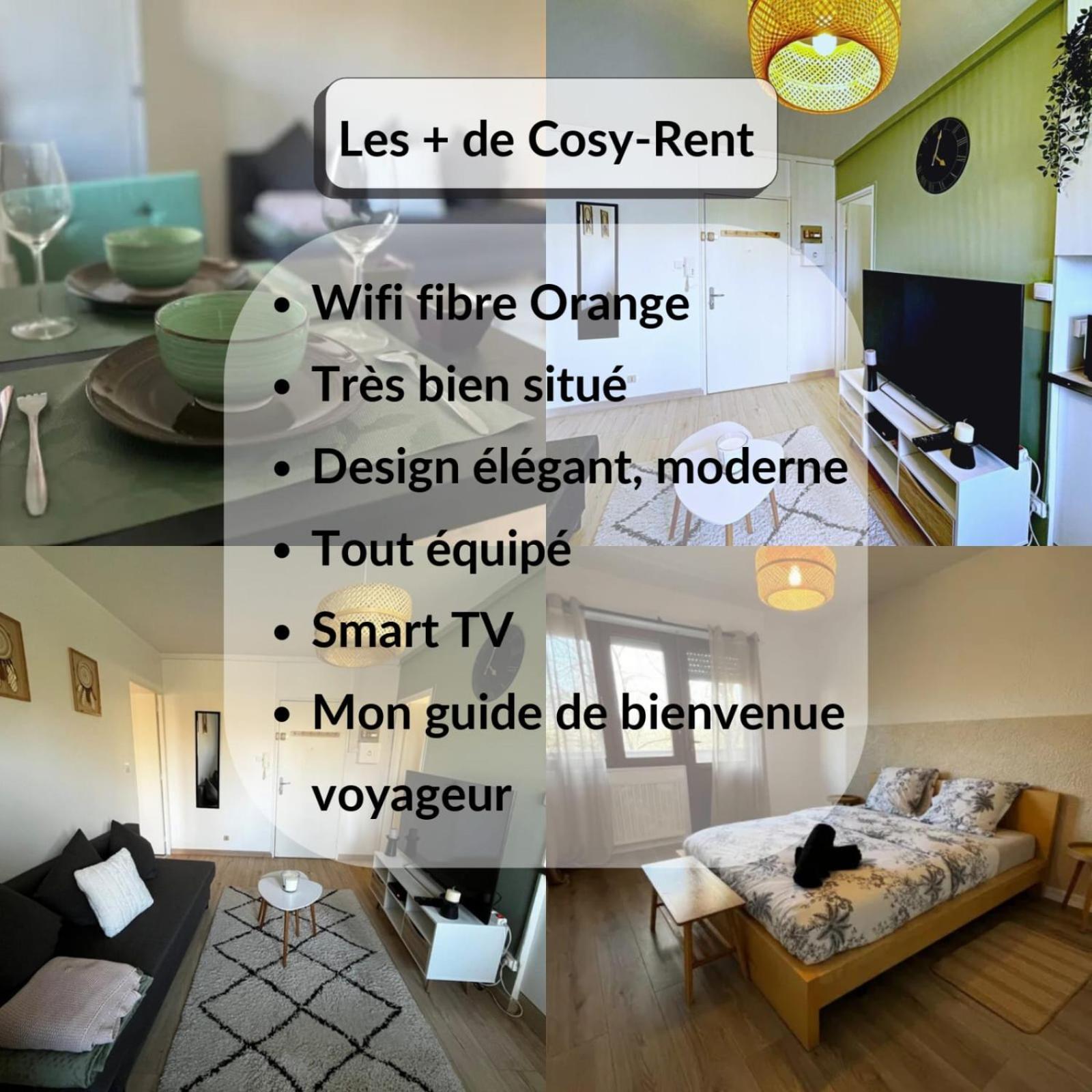Cosy Rent Strasbourg Appartement Wifi Terrasse Eksteriør billede